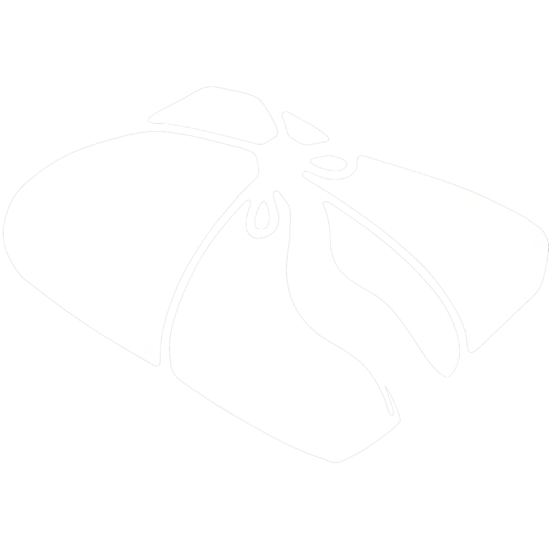 Humita Icon